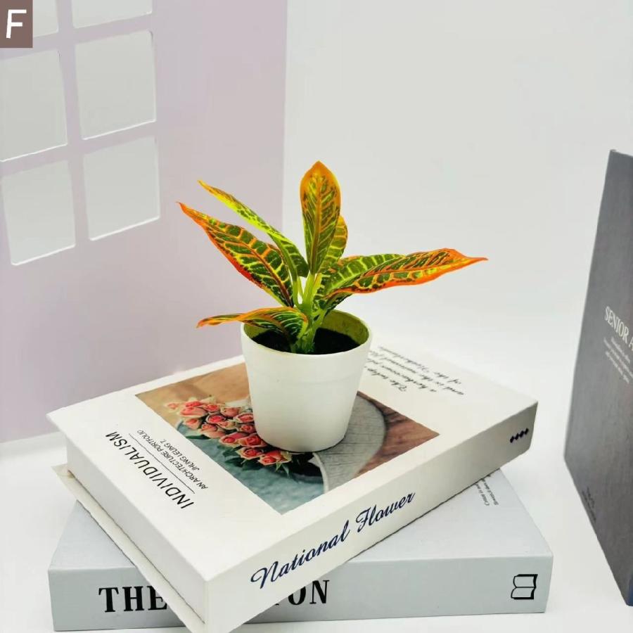 フェイクグリーン 造花 人工観葉植物 観葉植物 鉢植え 小型 枯れ