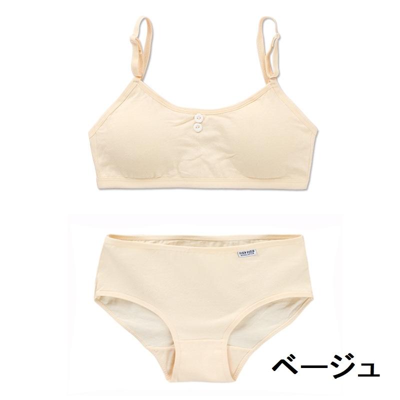 ジュニア ブラジャー スタンダードショーツ 上下セット カップ