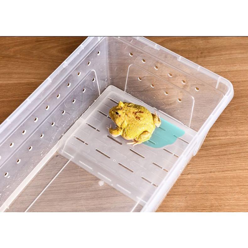 飼育ケース プラスチックケース プラケース 両生類 爬虫類 昆虫 小動物