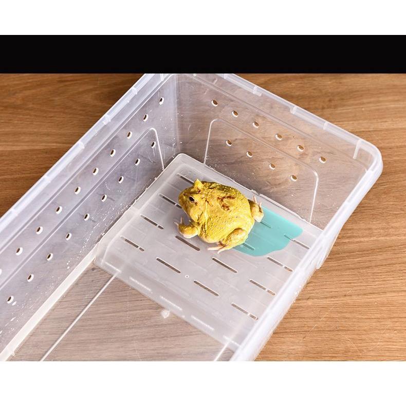 飼育ケージ 飼育ケース 両生類用 爬虫類用 クリアケース プラ