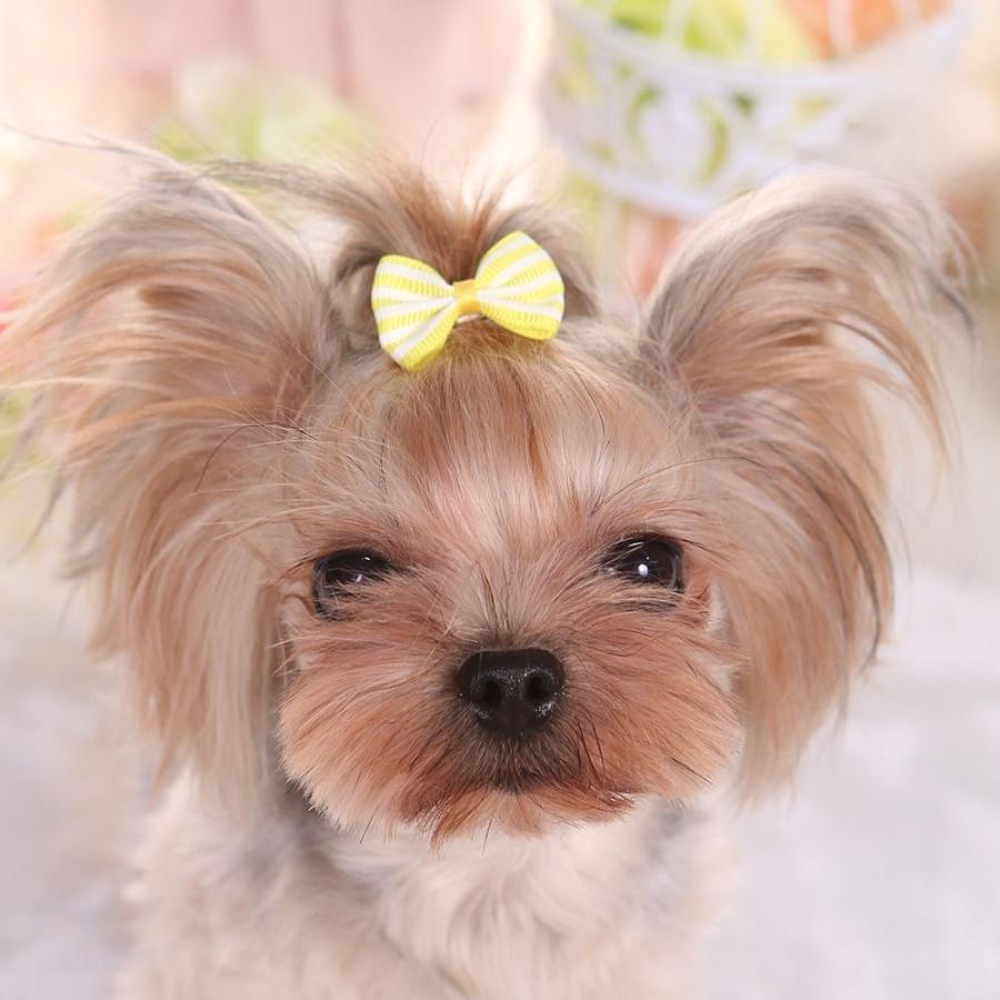ペット用アクセサリー ヘアアクセ ヘアクリップ 犬用 猫用 小動物