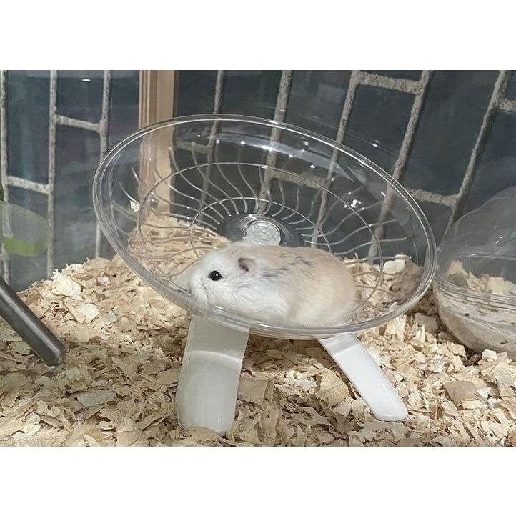 ʕ•ᴥ•ʔDUFFYʕ•ᴥ•ʔ様確認用 ハムスター ホイールスタンド 餌皿 ʕ•ᴥ