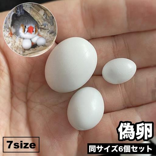 偽卵 擬卵 6個セット ダミー卵 フェイク卵 小鳥 愛鳥 セキセイインコ