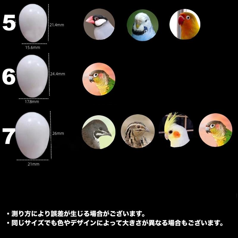 偽卵 擬卵 6個セット ダミー卵 フェイク卵 小鳥 愛鳥 セキセイインコ