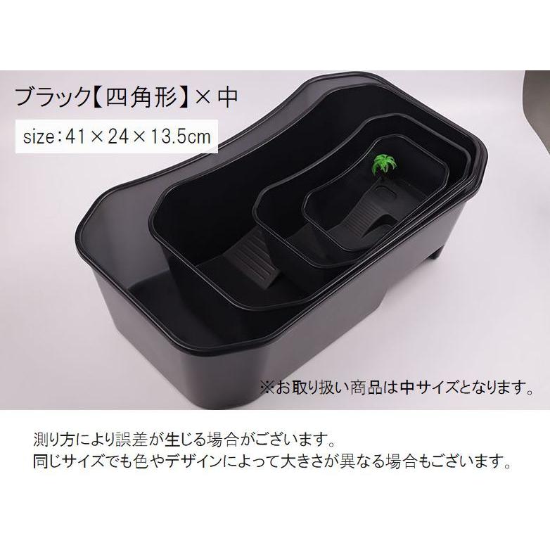 カメ専用飼育ケース　5個セット　中サイズ 亀用飼育ケース 中サイズ 大サイズ ペット用品 カメ 水槽 飼育ケージ