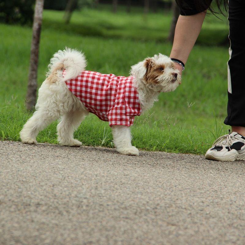 ペットウェア ドッグウエア シャツ 半袖 チェック柄 襟付き 犬服 犬の
