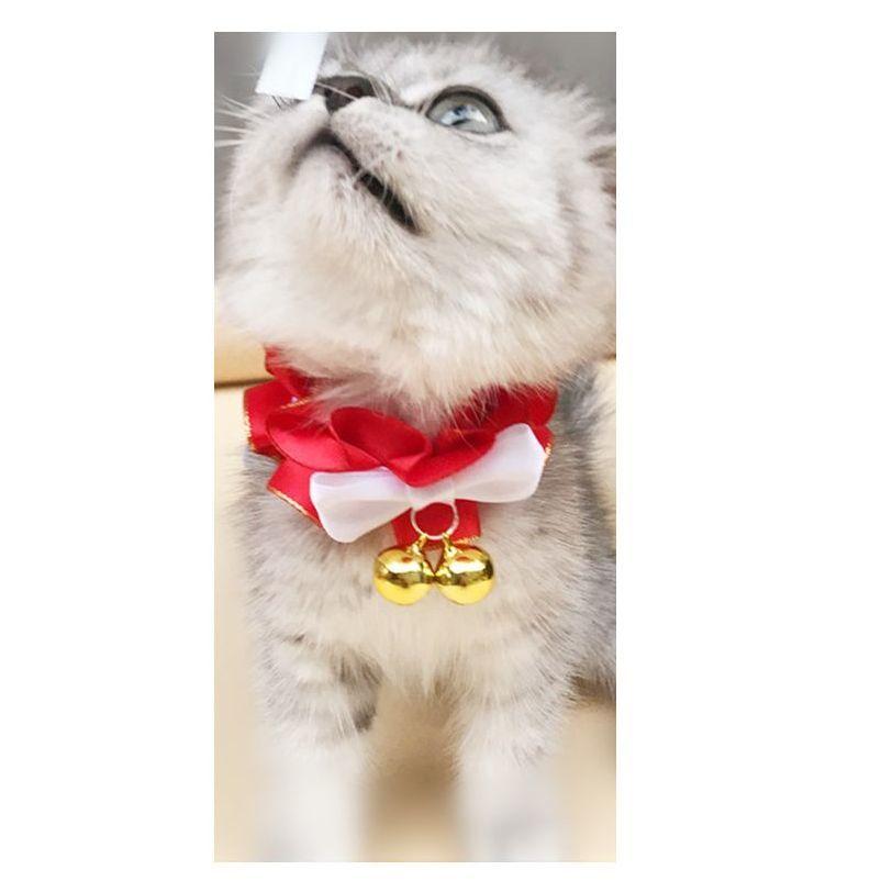 ペットチョーカー 首飾り 猫 犬 小型犬 アクセサリー おしゃれ おめかし フリル 鈴 可愛い ペット用品 ペットグッズ Pet Kawaemon 通販 Yahoo ショッピング
