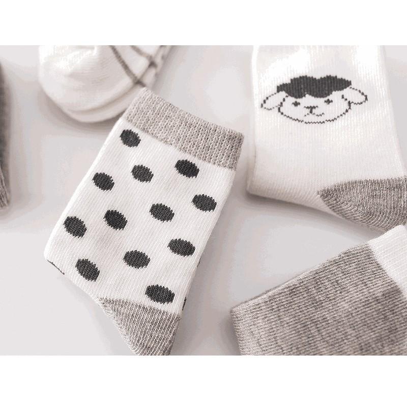 靴下 5足セット ソックス クルー丈 ショート丈 ベビー キッズ