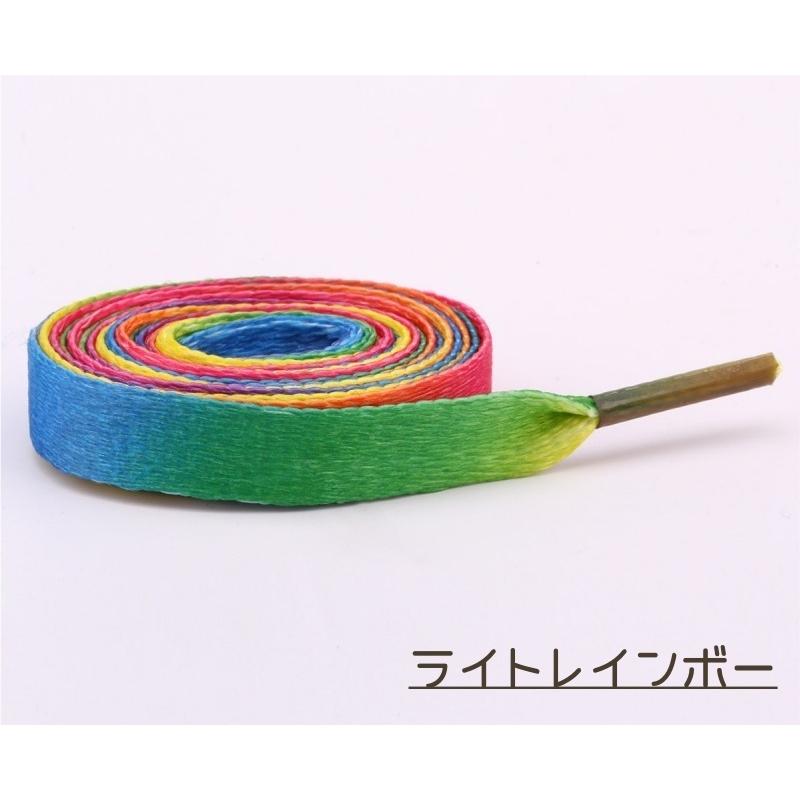 靴紐 2本セット 左右セット 100cm 120cm 50cm 80cm ジュニア キッズ
