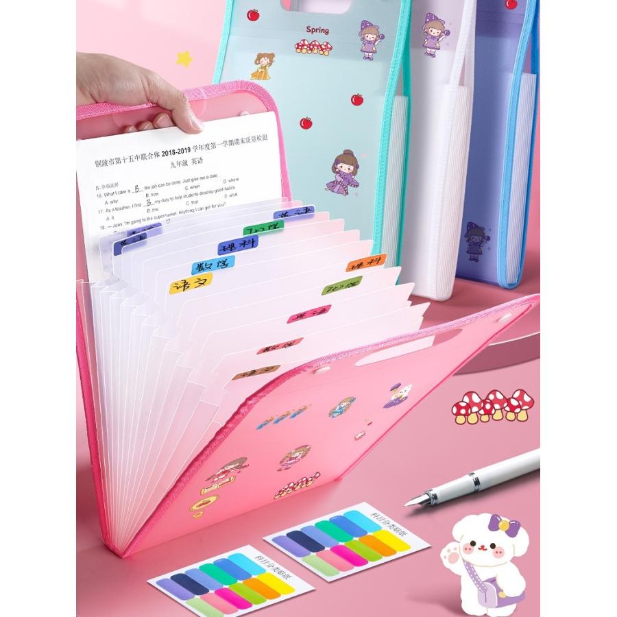 ドキュメントファイル ファイル 13ポケット A4 アコーディオン式 書類