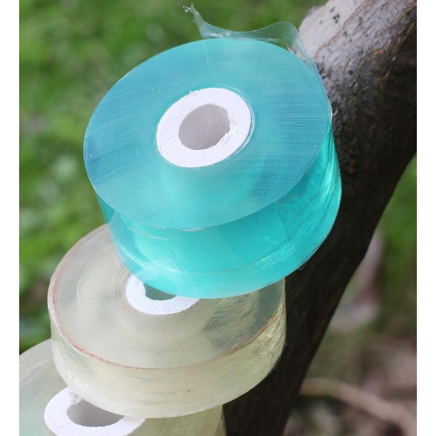 HEVSTIL(ヘブスティル) 接ぎ木テープ 幅1.55インチ 伸縮性 庭用接ぎ木テープ 果樹用 樹木植物テープ 花果樹用植物修復テ 接ぎ木テープ  2個セット 接木テープ ガーデニングテープ グラフトテープ 2cm 3cm シンプル 苗 盆栽 果樹 植物 出芽 接ぎ木 補修 移植 固 :  KAWAeMON ... HEVSTIL(ヘブスティル) 接ぎ木テープ 幅0.8インチ 伸縮性 庭用接ぎ木テープ 果樹用 樹木植物テープ 花果樹用植物修復テー