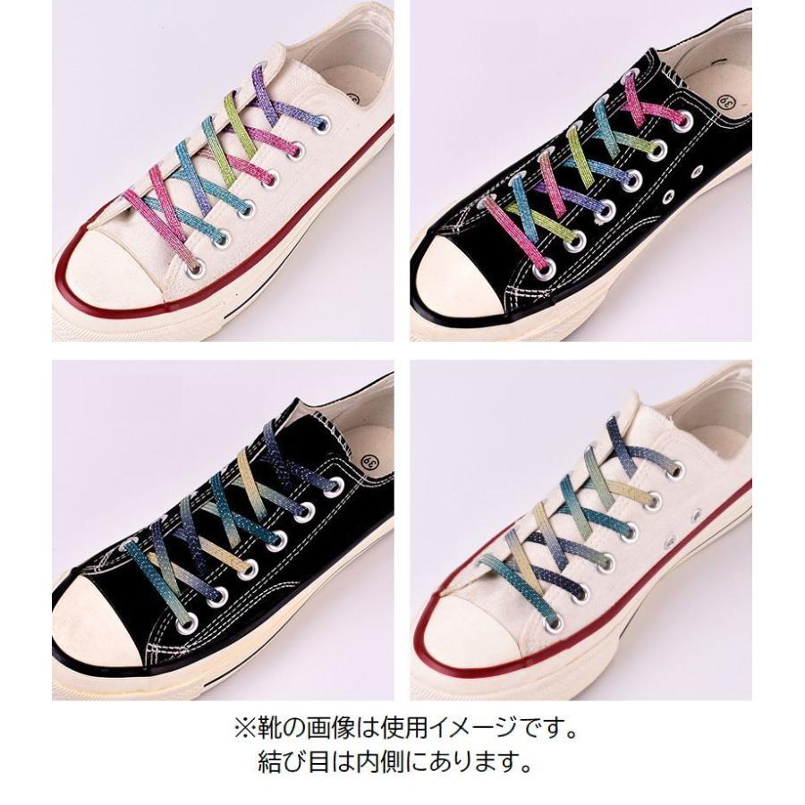 靴紐 靴ひも 2本セット 1足分 平型 平紐 付け替え用 シューレース 交換