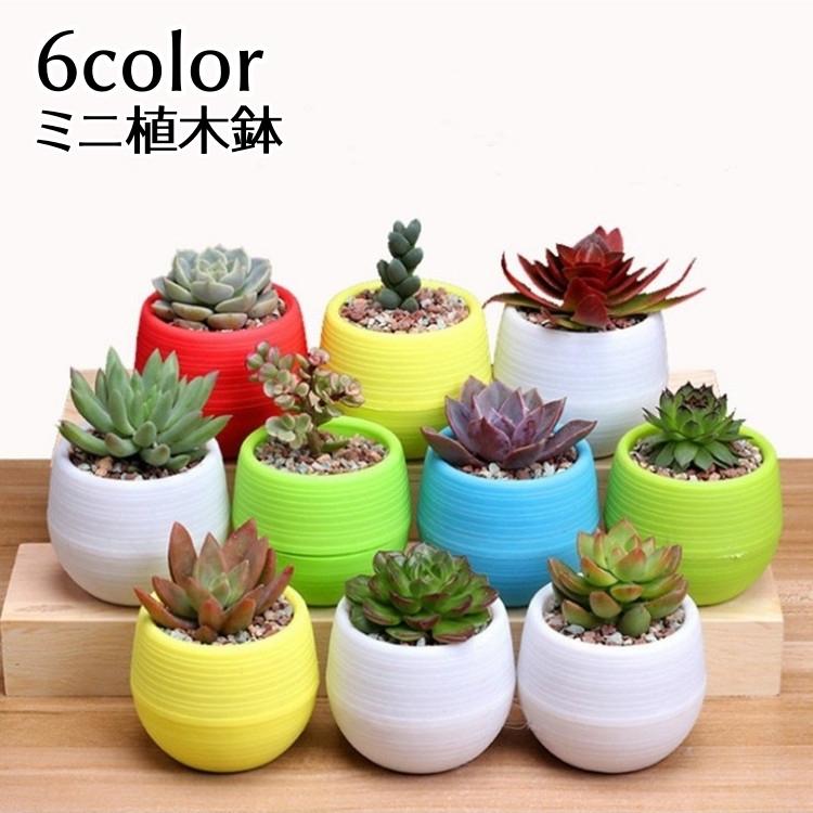 植木鉢 フラワーポット 受け皿付き ミニ 無地 排水 盆栽 軽量 可愛い