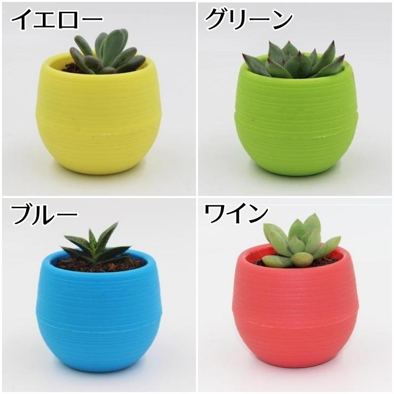 盆栽鉢、ミニ鉢、陶器製 植木鉢 作家鉢 絵付鉢 植木鉢 「紀伊染付山水図楕円鉢」 楽天市場】盆栽鉢 排水穴付き 鉢・プランター