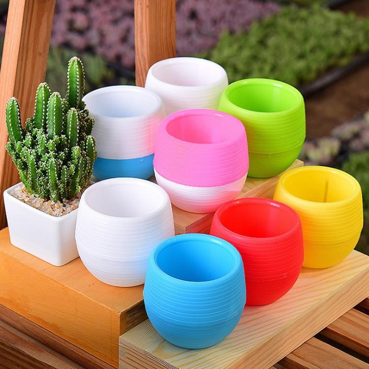 盆栽鉢、ミニ鉢、陶器製 植木鉢 排水穴付き 植木鉢 フラワーポット 受け皿付き ミニ 無地 排水 盆栽 軽量 可愛い