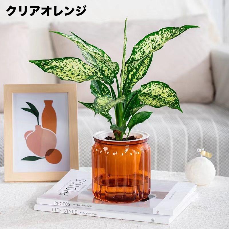 植木鉢 自動給水 プランター 室内栽培 貯水槽付き フラワーポット 観葉