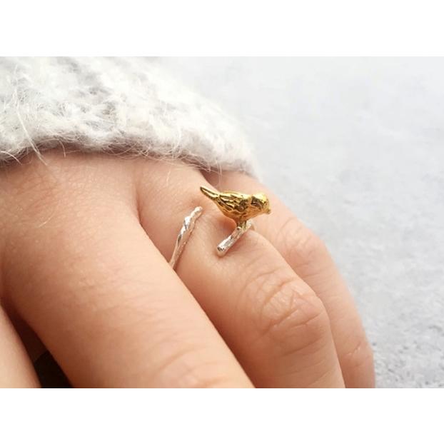 小鳥のリング 0_88877da31bac9867a8d1ef801366