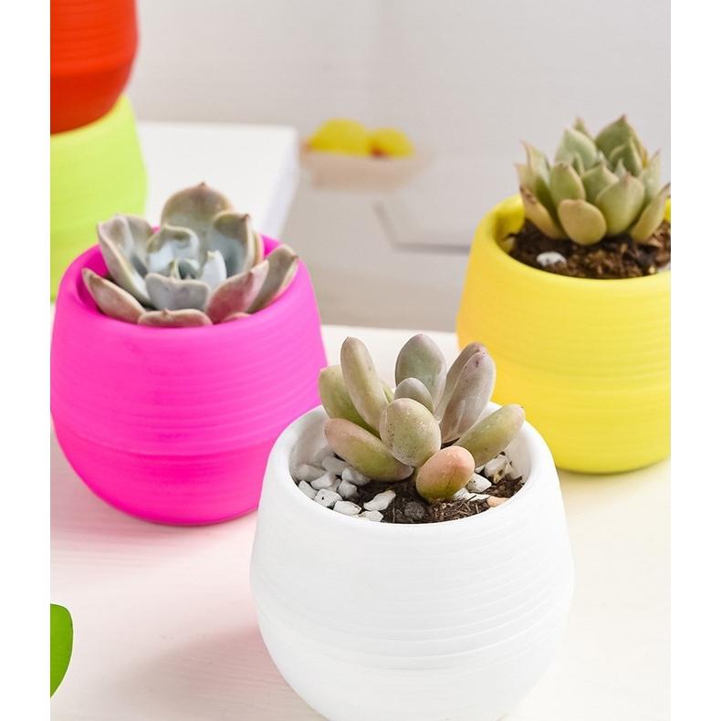 植木鉢 フラワーポット 生活雑貨 ガーデニング ミニサイズ 卓上