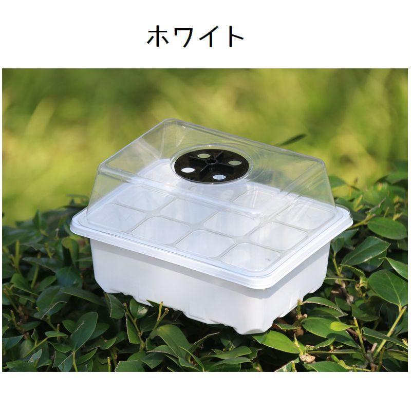 育苗ポット 12穴 単品 育苗トレー 育苗トレイ 蓋付き 水切り付き 透明