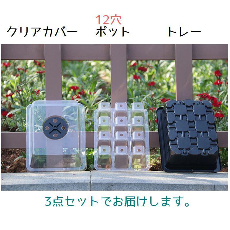 育苗ポット 12穴 単品 育苗トレー 育苗トレイ 蓋付き 水切り付き 透明