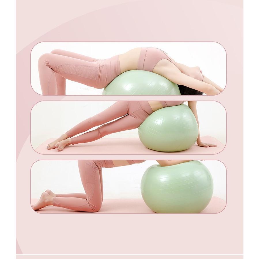 バランスボール エクササイズボール 椅子 55cm 65cm トレー二ング