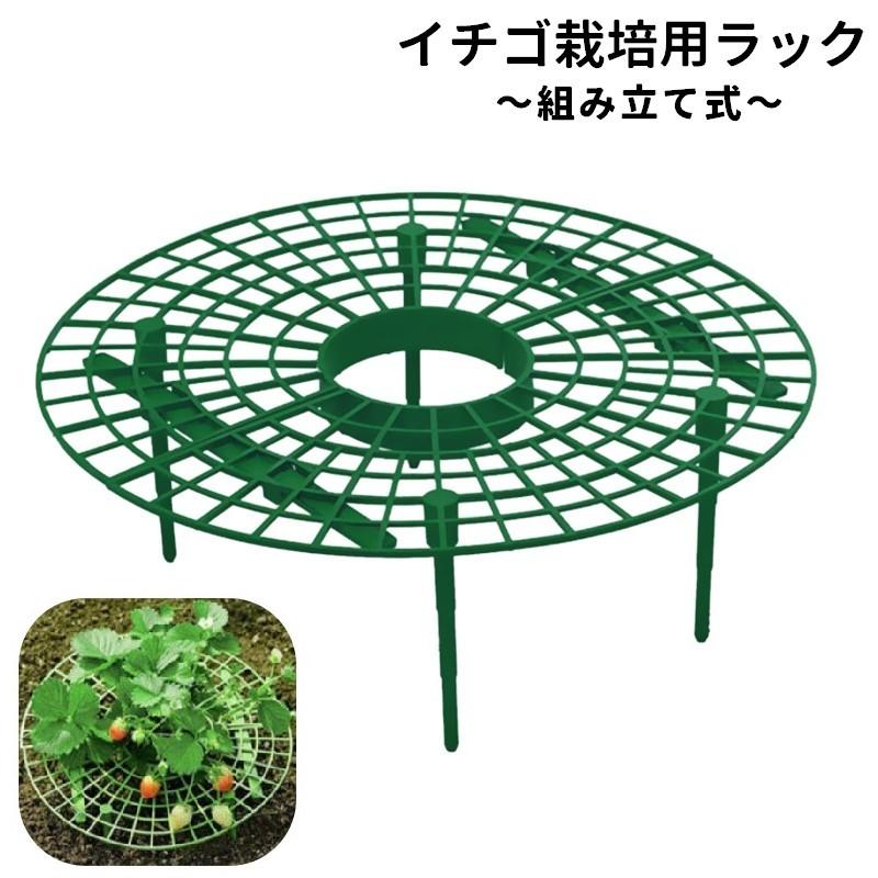 イチゴ栽培用ラック いちごスタンド イチゴ支え棚 いちご支柱