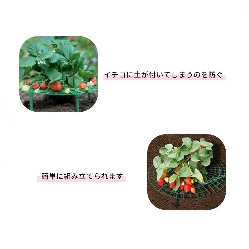 イチゴ栽培用ラック いちごスタンド イチゴ支え棚 いちご支柱