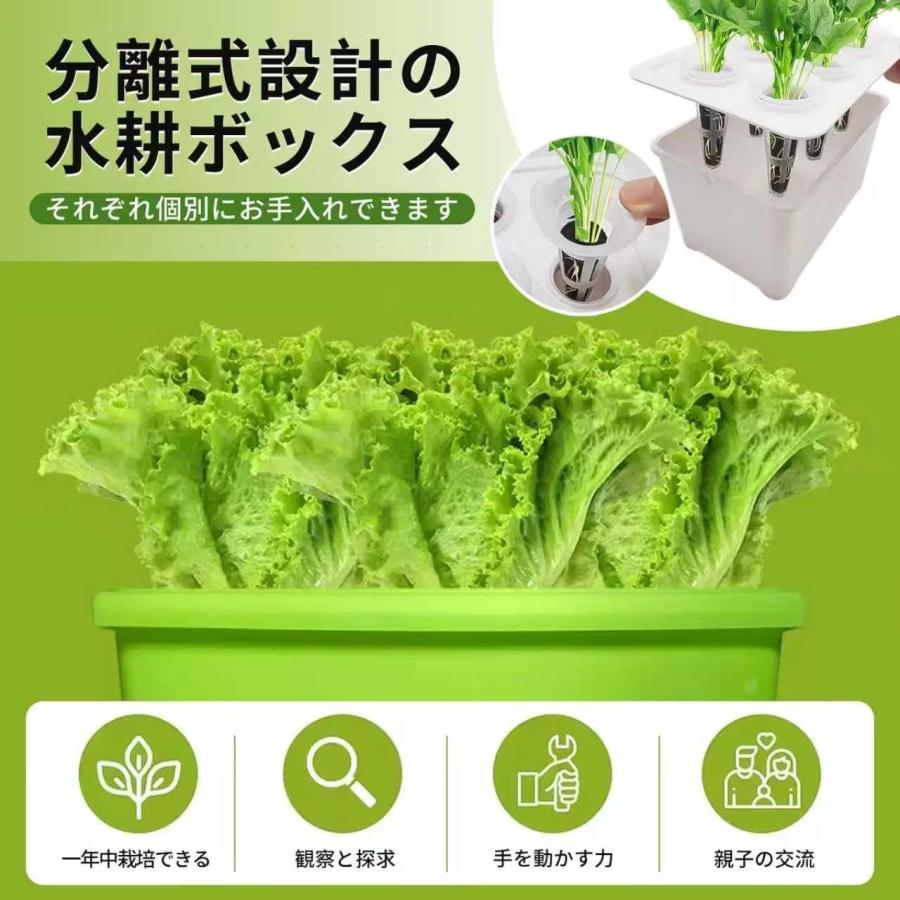 水耕栽培キット 家庭菜園 水耕栽培 キット プランター 6穴 種子栽培