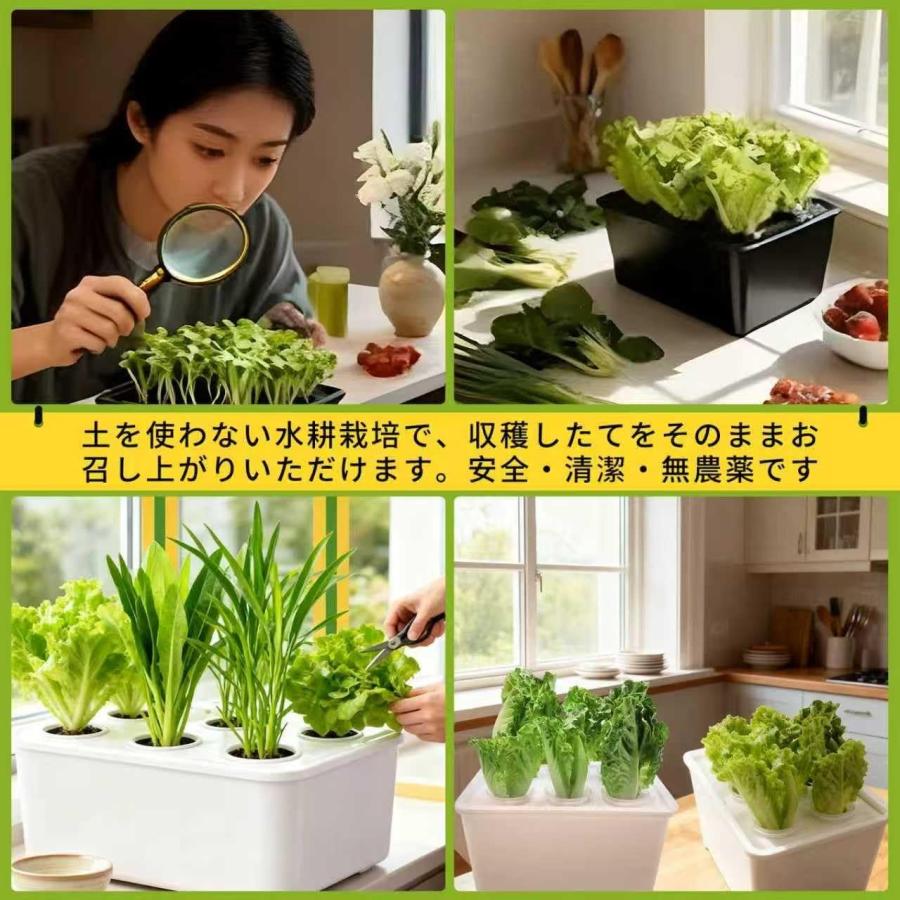 栽培キット　植木鉢容器 水耕栽培キット 家庭菜園 水耕栽培 キット プランター 6穴 種子栽培