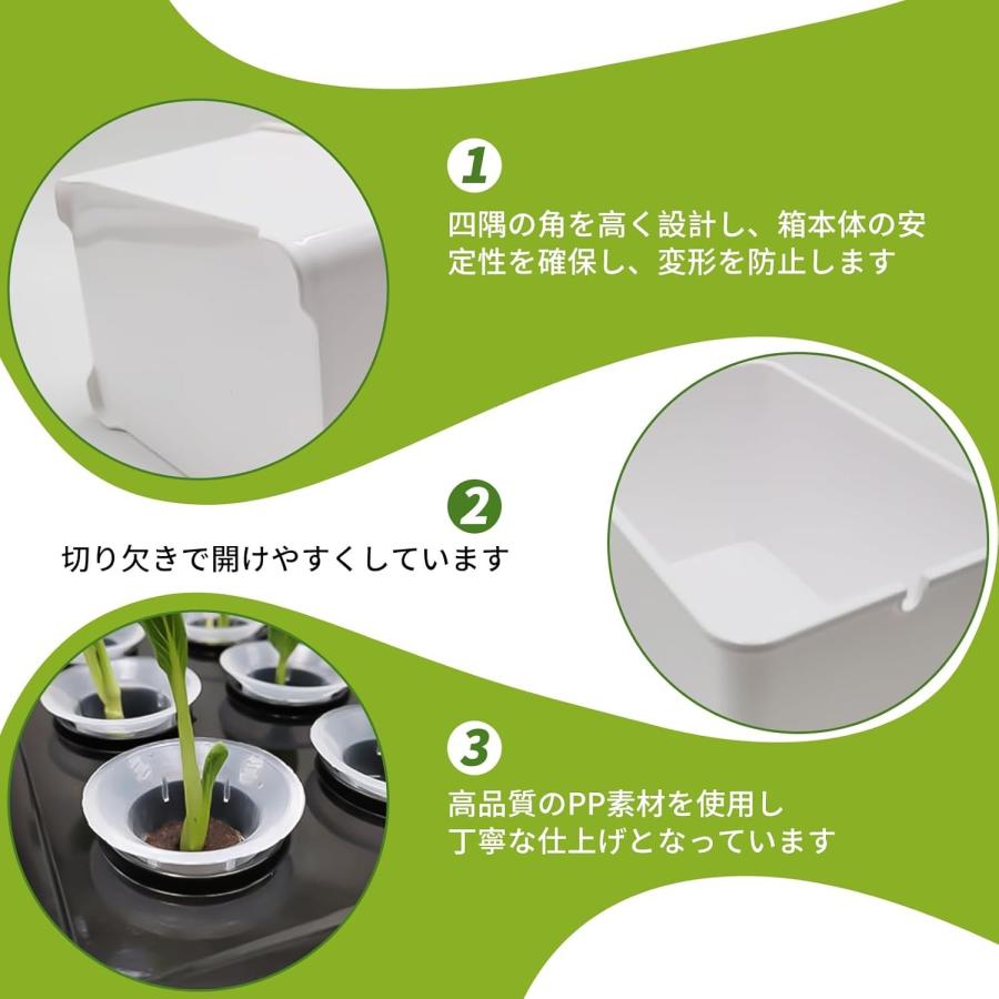 水耕栽培キット 家庭菜園 水耕栽培 キット プランター 6穴 種子栽培