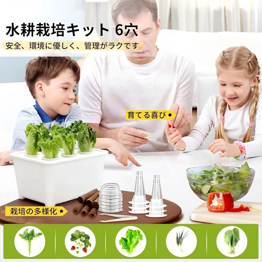水耕栽培キット 家庭菜園 水耕栽培 キット プランター 6穴 種子栽培