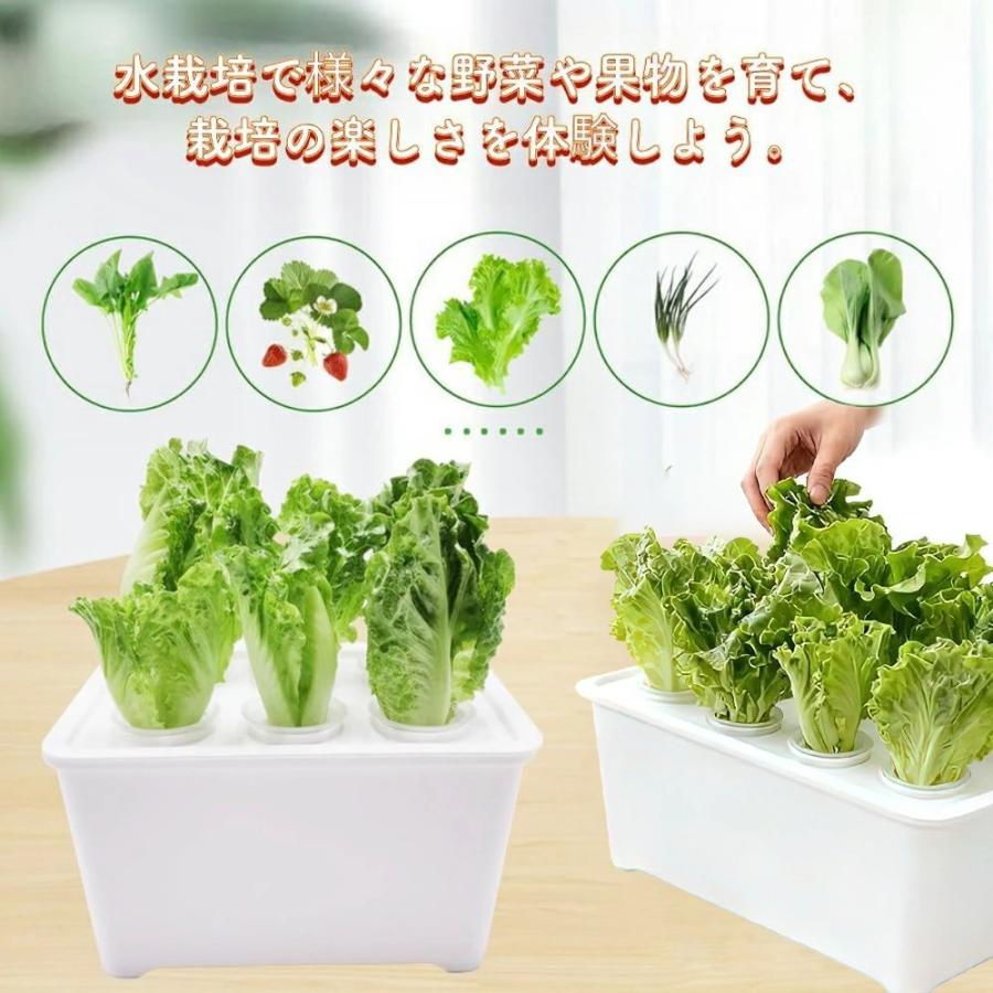 水耕栽培キット 家庭菜園 水耕栽培 キット プランター 6穴 種子栽培