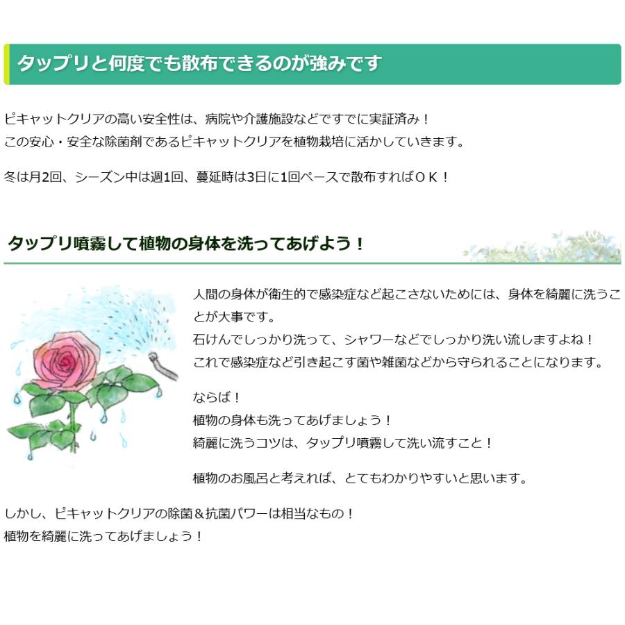 基本送料無料　次亜塩素酸水を安全・安価に自作　ピキャットクリア生成　４Lセット_10
