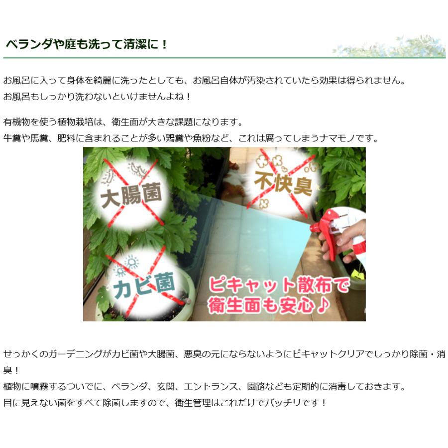 基本送料無料　次亜塩素酸水を安全・安価に自作　ピキャットクリア生成　４Lセット_12