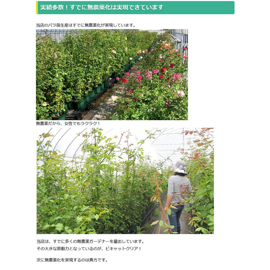 基本送料無料　次亜塩素酸水を安全・安価に自作　ピキャットクリア生成　４Lセット_8