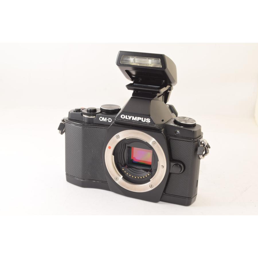 ☆美品☆ OLYMPUS オリンパス OM-D E-M5 ボディ ブラック