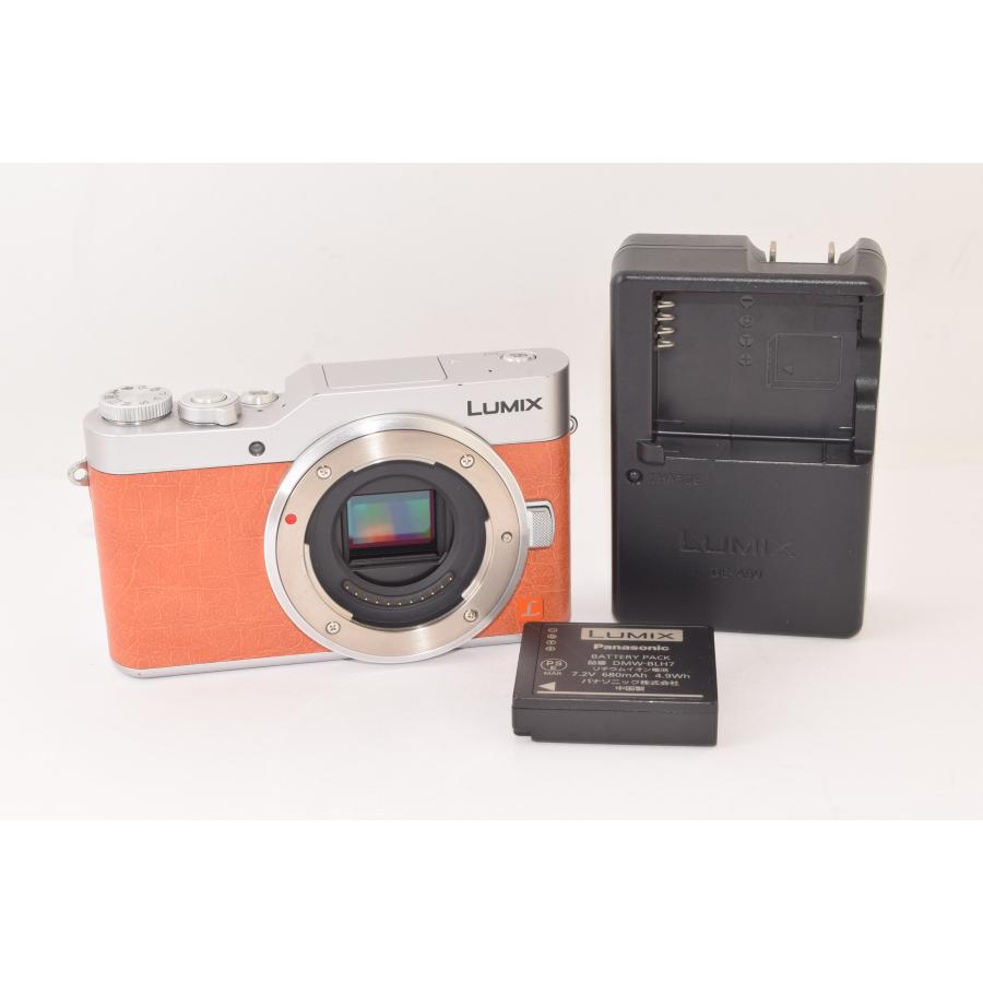 ☆美品☆ Panasonic パナソニック LUMIX DC-GF9-D ボディ オレンジ 