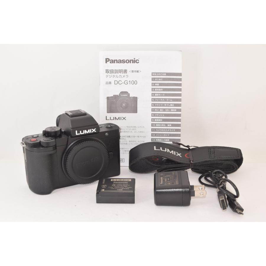 ☆美品☆ Panasonic パナソニック LUMIX DC-G100 ボディ ミラーレス 