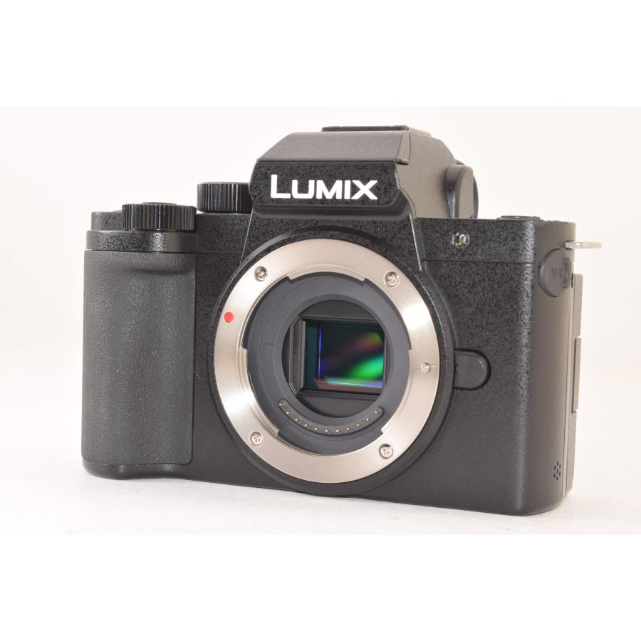 ☆美品☆ Panasonic パナソニック LUMIX DC-G100 ボディ ミラー