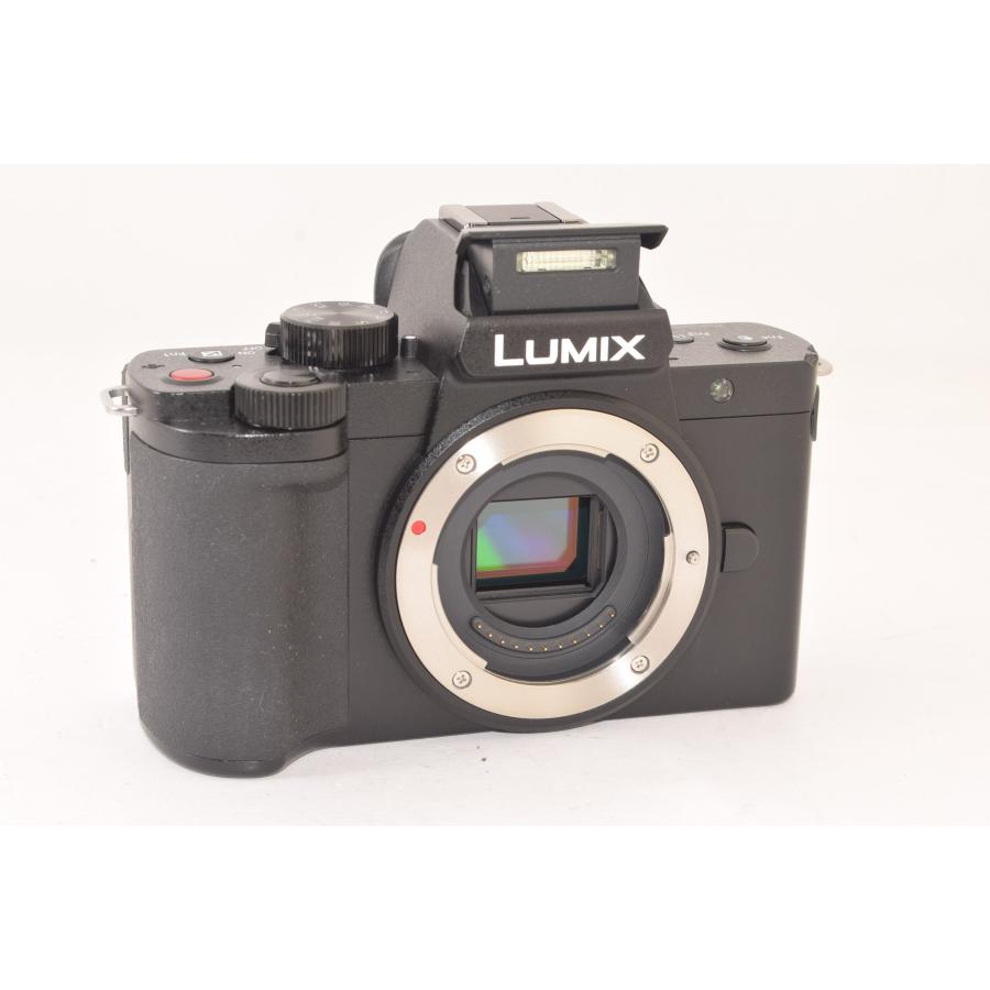 ☆美品☆ Panasonic パナソニック LUMIX DC-G100 ボディ ミラーレス 