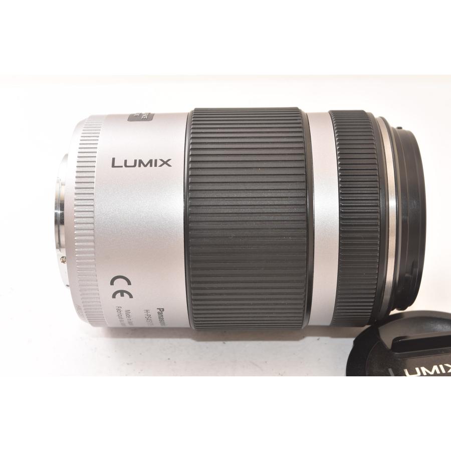 Panasonic パナソニック LUMIX G X VARIO PZ 45-175mm F4.0-5.6 HD 