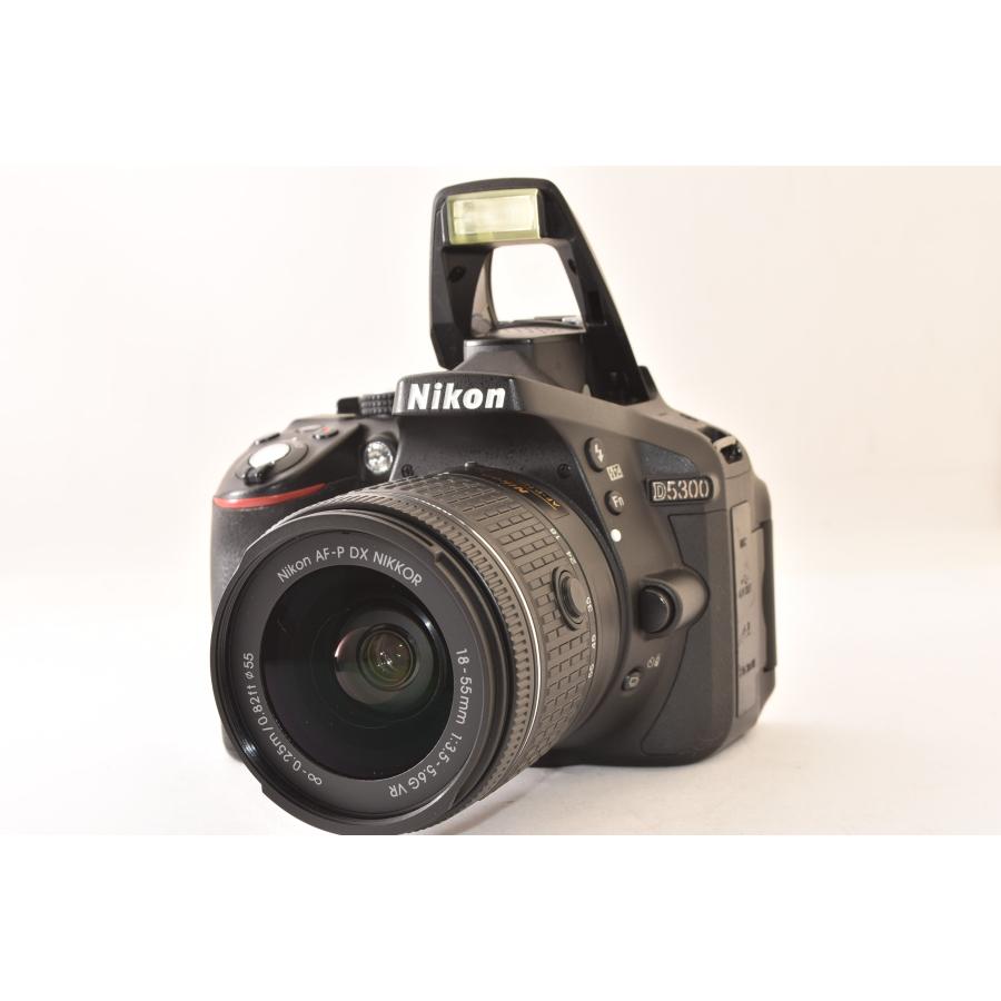 ☆美品☆ Nikon ニコン D5300 + AF-P DX 18-55mm F3.5-5.6G VR 純正