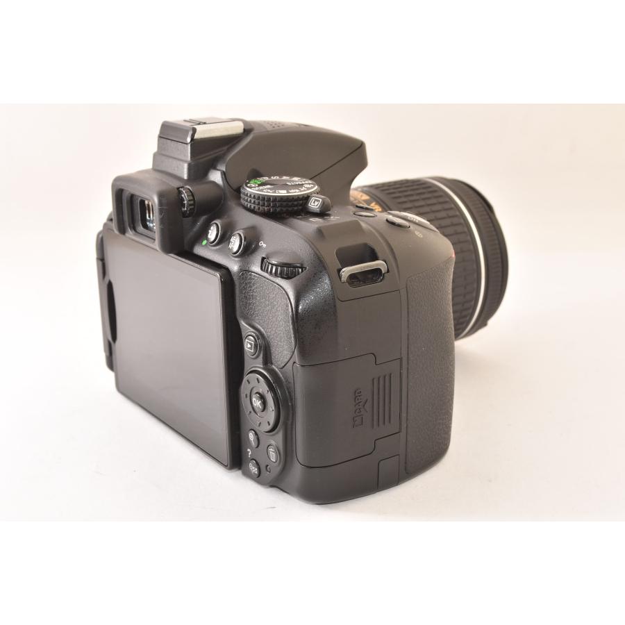 ☆美品☆ Nikon ニコン D5300 + AF-P DX 18-55mm F3.5-5.6G VR 純正