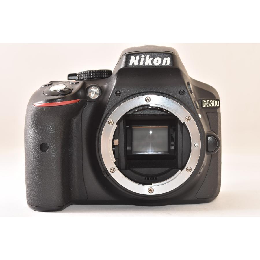 ☆美品☆ Nikon ニコン D5300 + AF-P DX 18-55mm F3.5-5.6G VR 純正