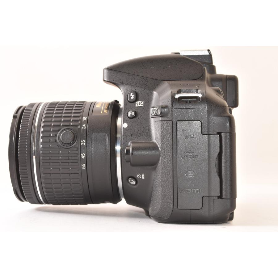 ☆美品☆ Nikon ニコン D5300 + AF-P DX 18-55mm F3.5-5.6G VR 純正