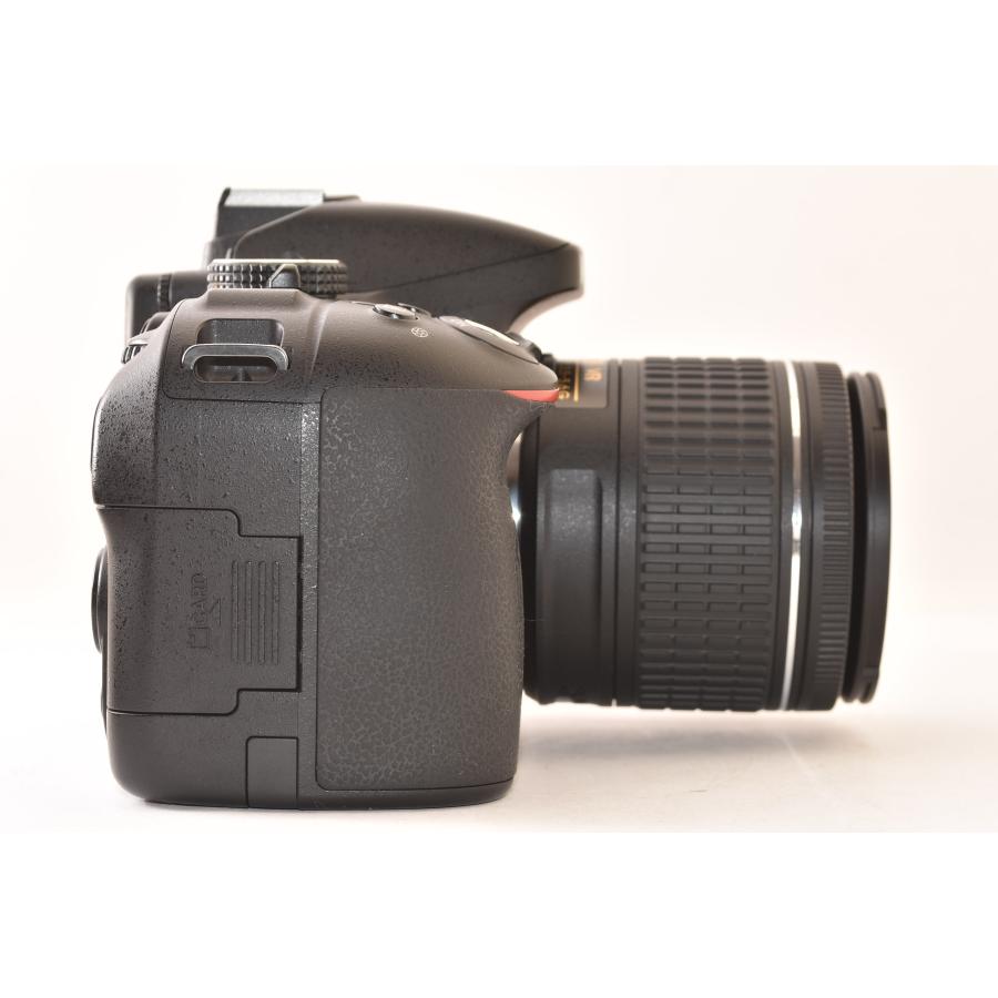 ☆美品☆ Nikon ニコン D5300 + AF-P DX 18-55mm F3.5-5.6G VR 純正
