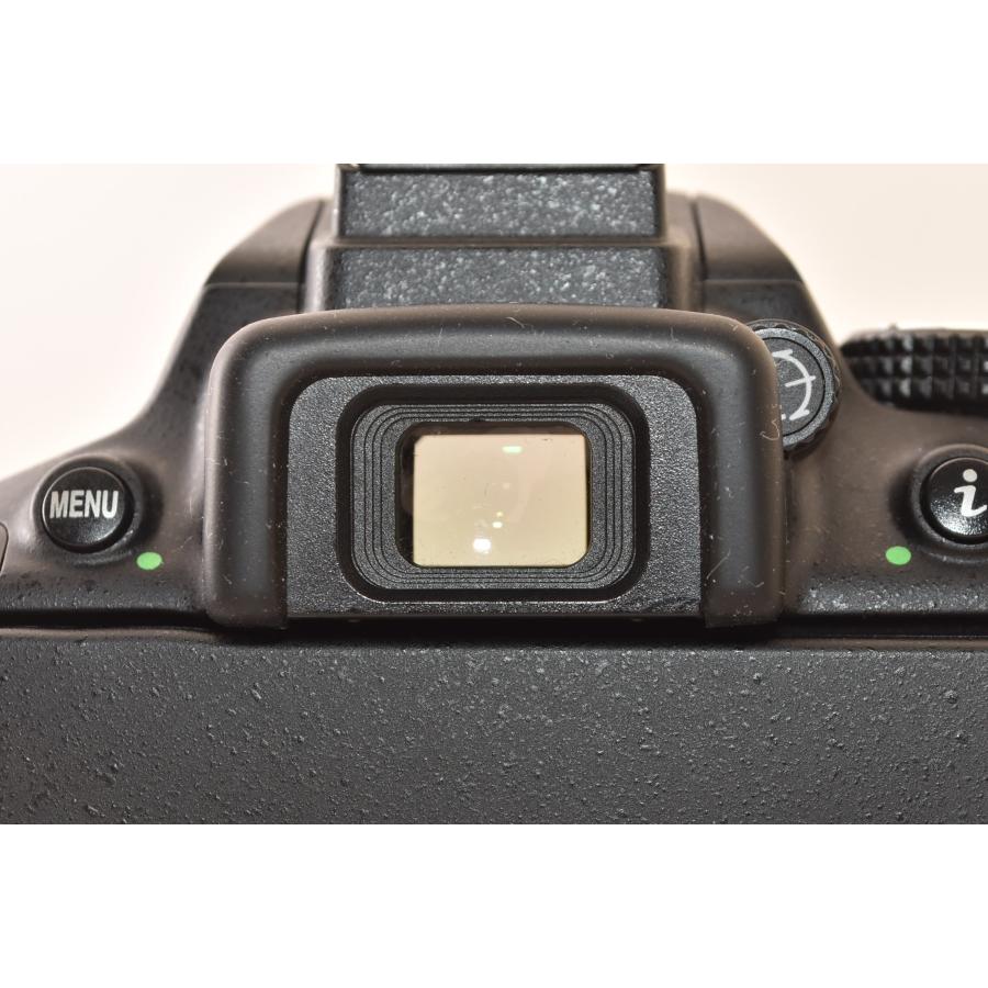 ☆美品☆ Nikon ニコン D5300 + AF-P DX 18-55mm F3.5-5.6G VR 純正