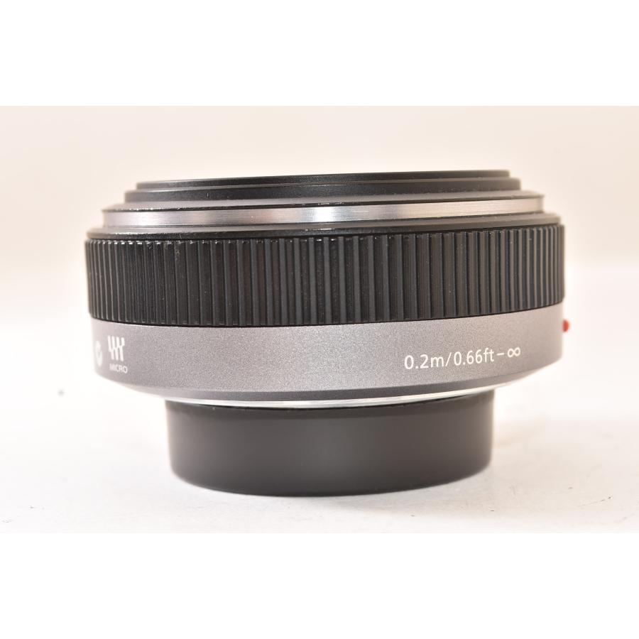 ☆極上品☆ Panasonic パナソニック LUMIX G 20mm F1.7 ASPH. H-H020