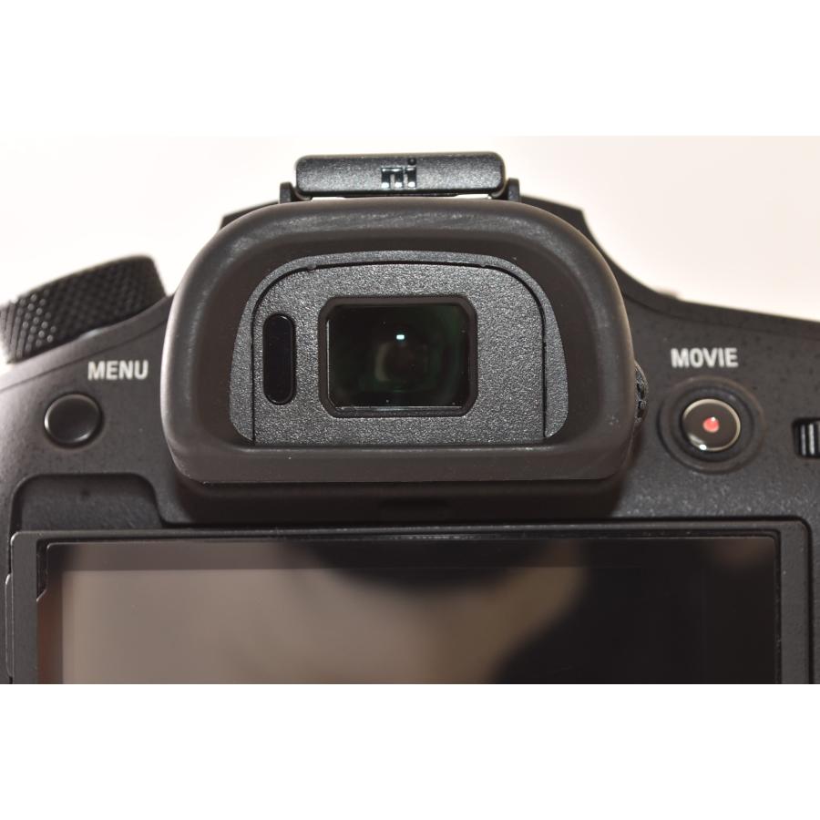 ☆美品☆ SONY ソニー Cyber-shot RX10III DSC-RX10M3 デジタルスチル