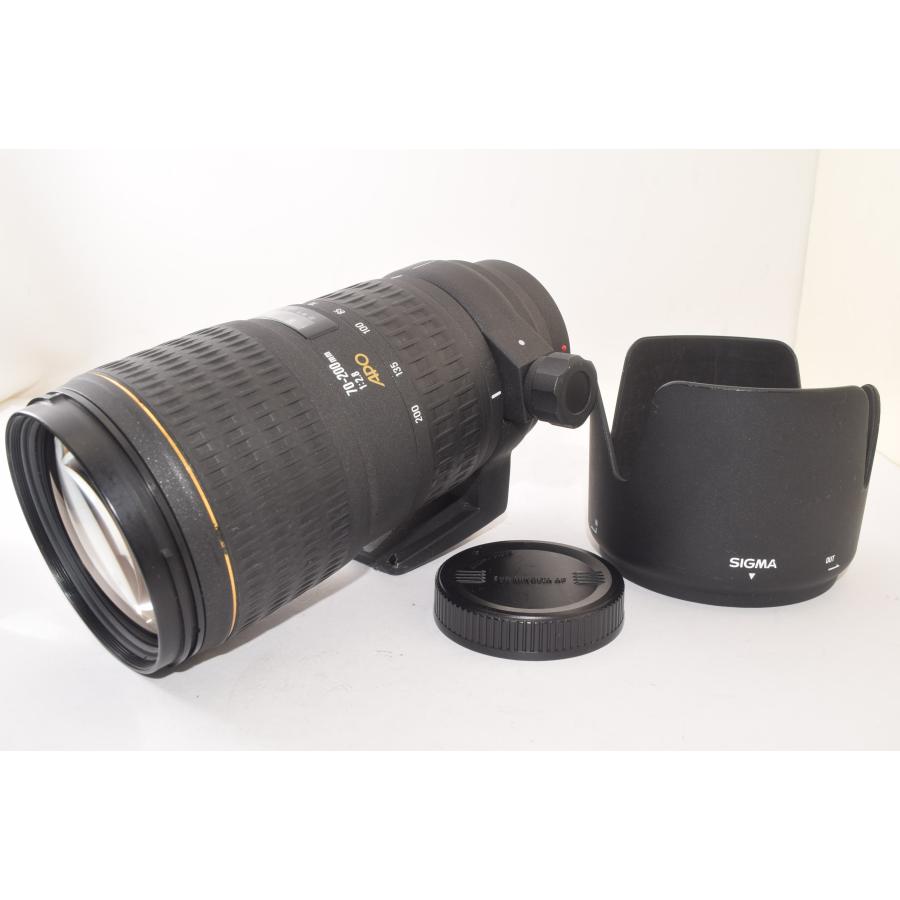 SIGMA シグマ EX APO 70-200mm F2.8 MINOLTA用 SIGMA シグマ EX APO 70-200mm F2.8 MINOLTA用 【公式通販】